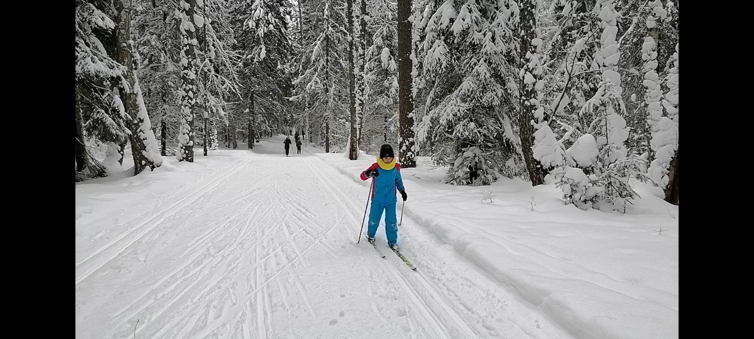 Мордвинов Сергей Николаевич